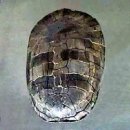 (주)거북 이미지