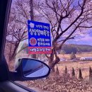 [남해 상상 양떼목장 편백숲] 백사슴도 있는 초대형 목장 주차, 가격, 겨울에 다녀온 후기