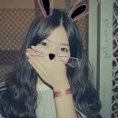 파마보이
