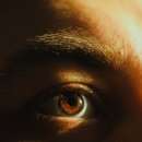 능동콘택트렌즈 | 실명까지 될 수 있는 황반변성의 증상부터 치료, 예방 방법