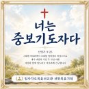 중보 티스토리