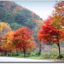 구본교의수족연구센터 이미지