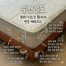 허리에 좋은 침대 매트리스 수면밀도 후기 내돈내산