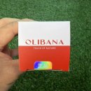 리커버리 | 올리바나바르는 보스웰리아 ACTS38 리커버리 크림 후기