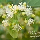 그날이오면 이미지