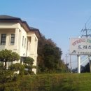 스프링필드송원웨딩파크 | [결혼식 사회 감성MC]주례없는 결혼식 사회_강릉 송원 웨딩 파크