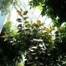 감귤박물관 이미지