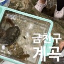 시흥대로40길 | [서울 금천구] 금천구 아이랑 가볼만한 곳 계곡 추천 오미생태공원