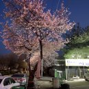 서정카센타 이미지