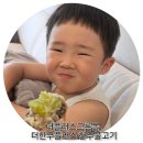 5세 아이도 잘 먹은 더한우플러스 한우불고기, 더플러스그룹몰 첫구매 후기