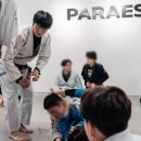 파라에스트라양주주짓수mma