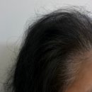 쿠팡에서 구매해본 아라야 헤나 천연 염색 후기 자연스럽게 새치 커버한 리얼 사용기
