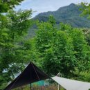 화왕산오토캠프장