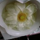반야선