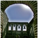 제일밋숀 이미지