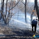 신창초교 이미지