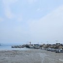 채석포항 이미지