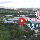 강정동-38 네이버블로그