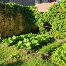 쌍화펜션 이미지