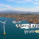 돌고래농장 이미지