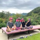 친절한 순필씨 이미지