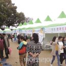 청정코리아 이미지