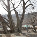 구산면565 이미지