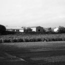 일과2리 이미지