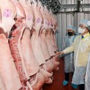 농업회사법인 (주)농가식품 세계일보