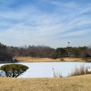 BA비스타CC 이미지