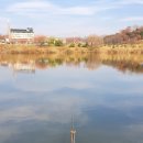 월곡낚시터 이미지