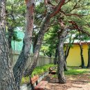 맹방초등학교 이미지