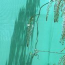 무안북중학교 이미지