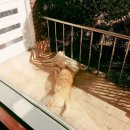 시온민박 이미지