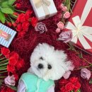 놀러오개 서산점 이미지