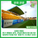 [광양 여행] 축구 팬들의 성지, 전남드래곤즈의 홈구장 '광양축구전용구장' 방문기! (드래곤 던전)