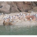 귀선농장 이미지