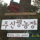 염농장 Daum카페