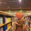 호돌이비디오 이미지