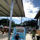 오복민박 이미지