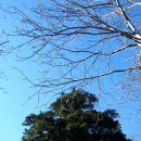 휴양림산장 이미지