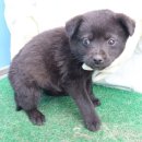 서성일로 이미지