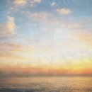 하나쌈밥 이미지