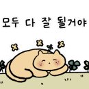 꽃샌드 이미지