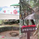 이마트24 거제해맞이점 | 거제 가볼 만한 곳 거제 지심도 동백꽃, 배편