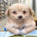 가족사랑행정사사무소 이미지