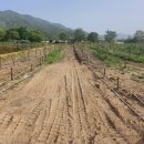 성환읍030 이미지