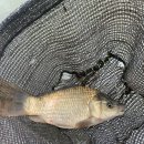 백용낚시터 이미지