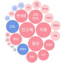 큐라셀뷰티 이미지