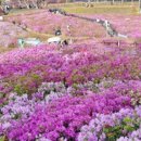 마하수리 이미지